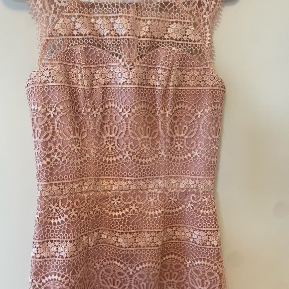 Chi chi London Blush Pink body on lace MIDI Dress - Picture 3 of 7